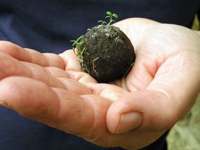 Proponen que este año se tiren amasijos de tierra y semillas para las Fiestas