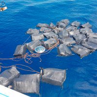 La Marina asegura un cargamento de cocaína que flotaba en costas de Chiapas