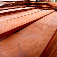 Antes de tirar los retazos de madera, armá esta hermosa idea para decorar tu jardín con bajo presupuesto