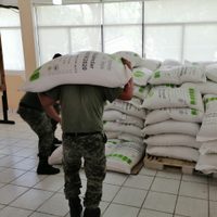 Hay evasión de impuestos en importación de azúcar, declaran "mezclas de harina"