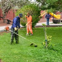 La Municipalidad de Zapala continúa embelleciendo la ciudad