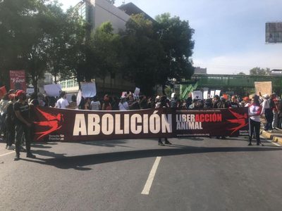Activistas protestan afuera de la Plaza México por el regreso de las corridas de toros