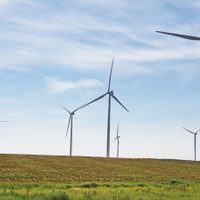 Una compañía automotriz argentina comenzó a funcionar en su totalidad con energía renovable
