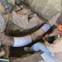 Tultepec, tierra de la pirotecnia… y de mamuts (Video)