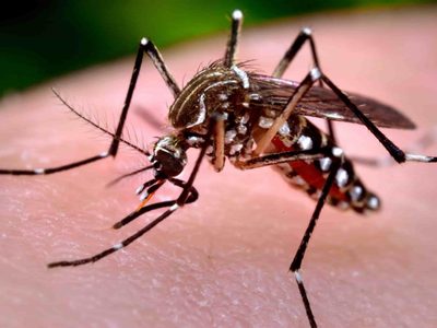 ALERTA: Un exintendente de Salta murió por dengue