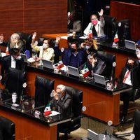 El Senado aprueba ley que prohíbe probar cosméticos en animales