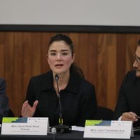 Partidos se resisten a la propuesta de equidad de género en gubernaturas