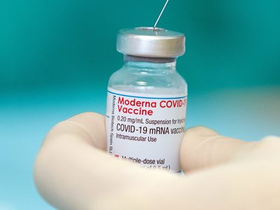Se dio a conocer cómo fue que se contaminaron las dosis de Moderna enviadas a Japón