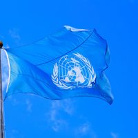Una delegación de la ONU visitará Neuquén esta semana, a qué se debe su visita