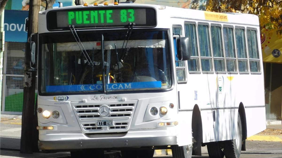 Colectivo cipoleño. Fuente: (Twitter)