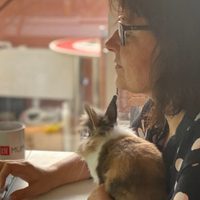 23 millones de personas hicieron home office en América Latina: OIT