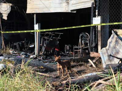 Perrito Canelo sobrevive y cuida escombros tras incendio en que murió una familia en Chilpancingo