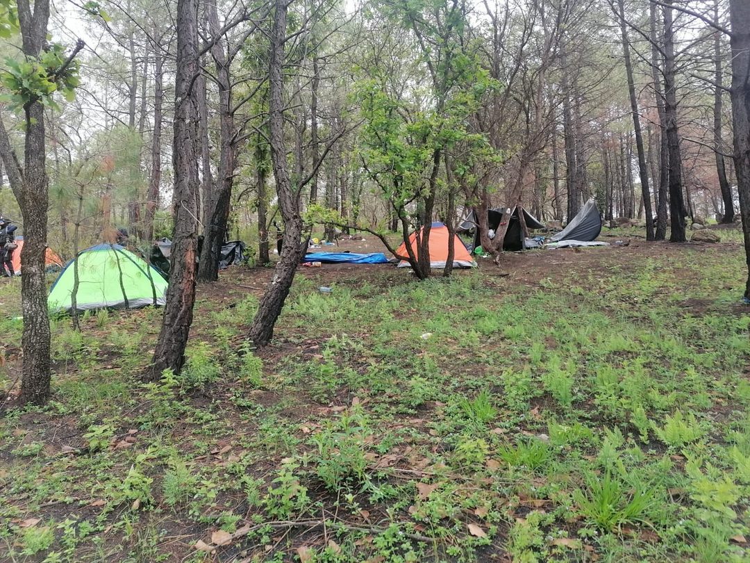 Campamento clandestido hallado en Zinapécuaro, Michoacán