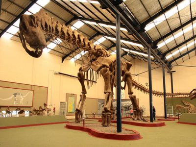 Luego de los reclamos, el intendente de El Chocón adelantó la fecha de apertura del museo