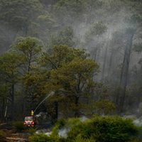 Jalisco ocupa el primer lugar en México con la mayor superficie forestal quemada: Conafor