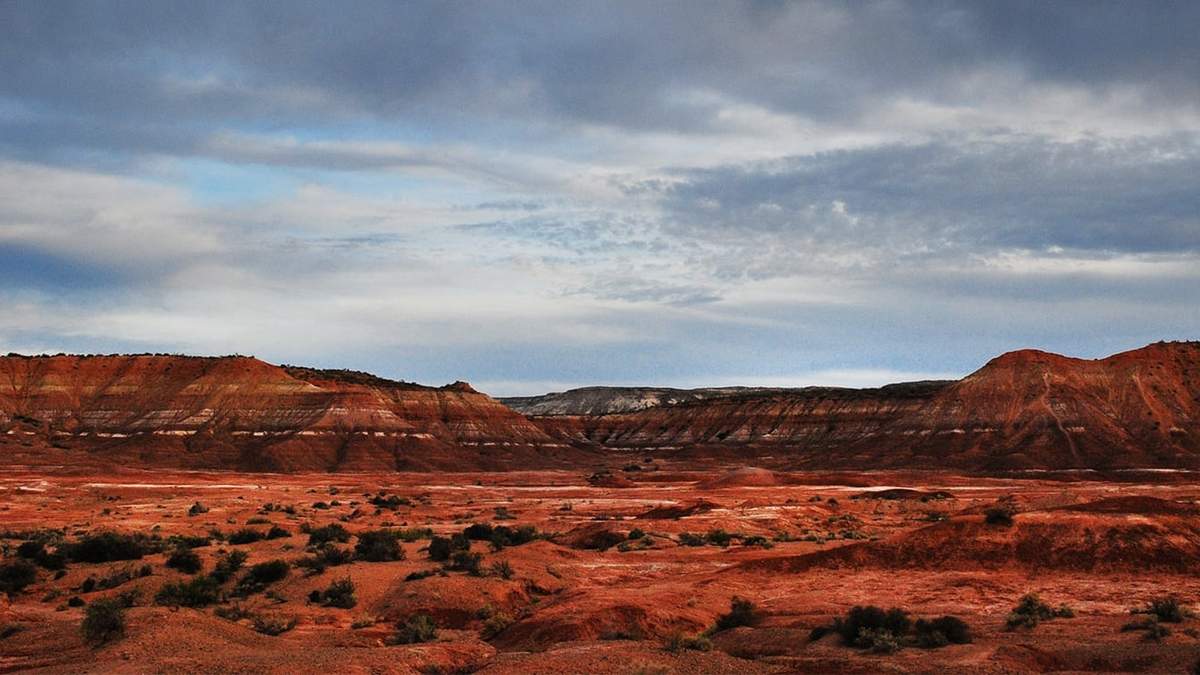 Valle Cretácico de Río Negro. Fuente: (Twitter)