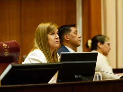 Escándalo en la Legislatura: "Por qué me tengo que ir, prefiero que me investiguen" dijo Gloria Ruiz