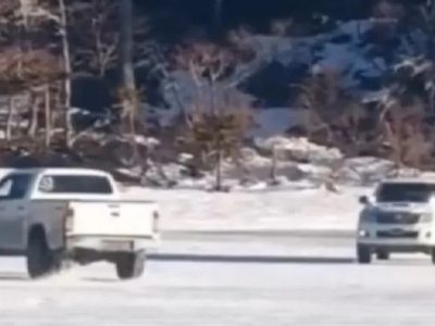 Imponen una insólita multa al joven que dañó una araucaria mientras hacía trompos con su 4x4