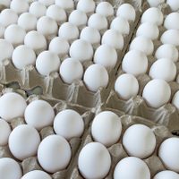 No tires los maples de huevos: creá estos mini canastos increíblemente delicados para decorar tu hogar