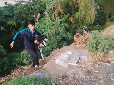 “¿Qué te hizo para que lo avientes?”: Increpan a sujeto que ató a su perro y lo tiró a río en Edomex