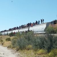 Ferromex suspende movimiento de 60 trenes de carga por crisis migrante