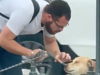 Graban a hombre golpeando y maltratando a perrito afuera de Metro Copilco; el VIDEO genera polémica en redes