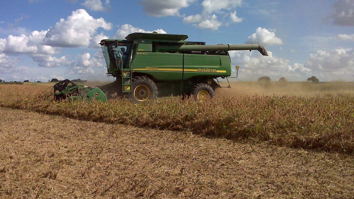 La producción de granos generaría US$ 36.800 millones en exportaciones
