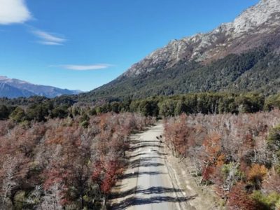 Ruta Provincial 65: la obra de pavimentación alcanza un 54% de avance