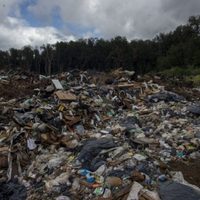 Acusan a la exintendenta de Las Lajas por daños ambientales debido a un basural ilegal