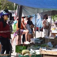 El gobierno prometió invertir $ 3.500 millones en la construcción de viviendas