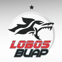 Lobos BUAP se apresta a resucitar a golpes de dinero