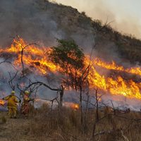 Presentaron un polémico proyecto para prohibir el uso de tierras incendiadas