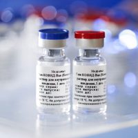 Vacuna contra el coronavirus: se conoció la cantidad de dosis que tendrá Río Negro