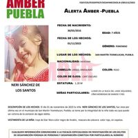 Neri, de 7 años, sigue desaparecida; Fiscalía de Puebla detiene a sus padres