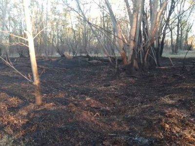 Incendio en el Jardín Botánico de Plottier