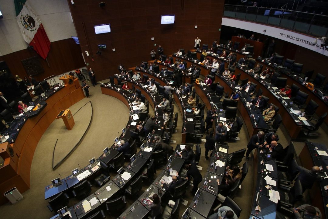SENADO