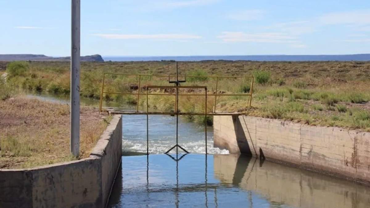 Creen necesario destinar el agua a la superficie de cultivos, evitando pasturas espontáneas. Fuente: (Gobierno de Neuquén)