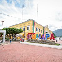 Apague su celular y entréguelo al chofer: imponen estas “condiciones” para viajar en zona de Chiapas
