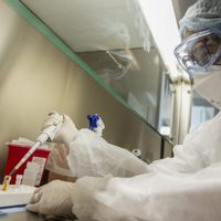 Coronavirus: científicos descubren un posible nuevo síntoma de la enfermedad