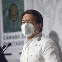 Delgado insiste en disminuir 50% el presupuesto a partidos y destinar el dinero a salud