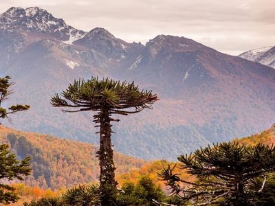 Clima en Neuquén: el miércoles será muy caluroso en toda la región
