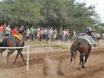La Policía frustró la realización de carreras clandestinas de caballos en Centenario