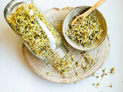 Germinado de lentejas: dales un toque a tus comidas con esta idea fácil, original y saludable
