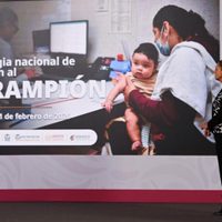 Suman 28 muertes por sarampión en México; Sheinbaum pide “mantener la calma”