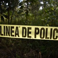 Brigada Nacional de Búsqueda halla 70 restos humanos en fosa clandestina en Mixtlalcingo
