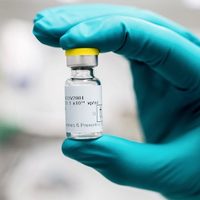 Vacuna para covid-19 logra éxito en primates con una sola dosis