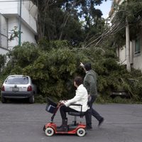 Fuertes vientos activan alerta en toda la CDMX; advierten por frío en madrugada del sábado