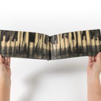 'Origen y destino”, de Gerardo Suter, en el Museo Carrillo Gil
