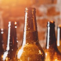 No tires las botellas de cerveza: creá esto tan práctico y coqueto para decorar tu hogar con estilo