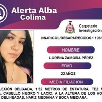 Reportan 5 personas desaparecidas en Colima; en la lista, una mujer y su hijo de origen estadunidense